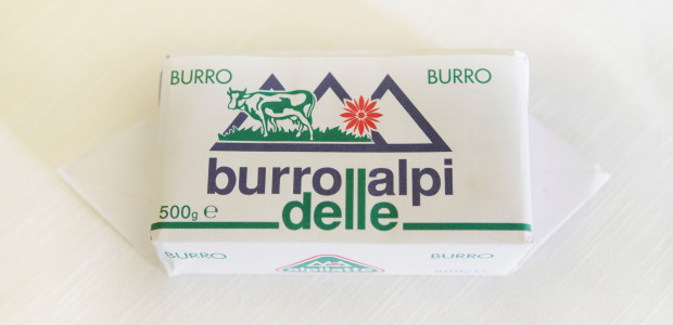 burro2