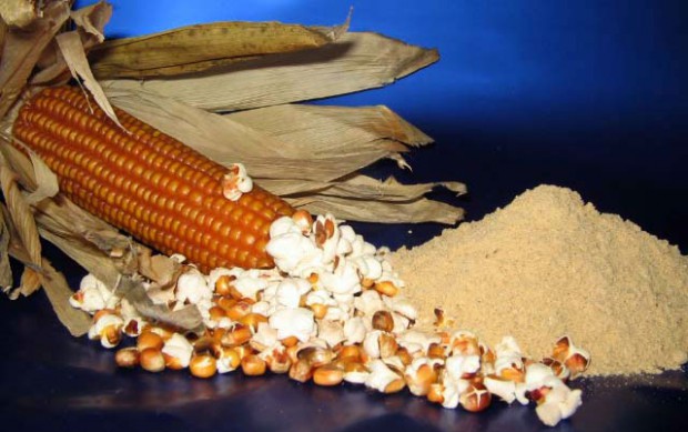 farina-bona-parliamo-di-cucina