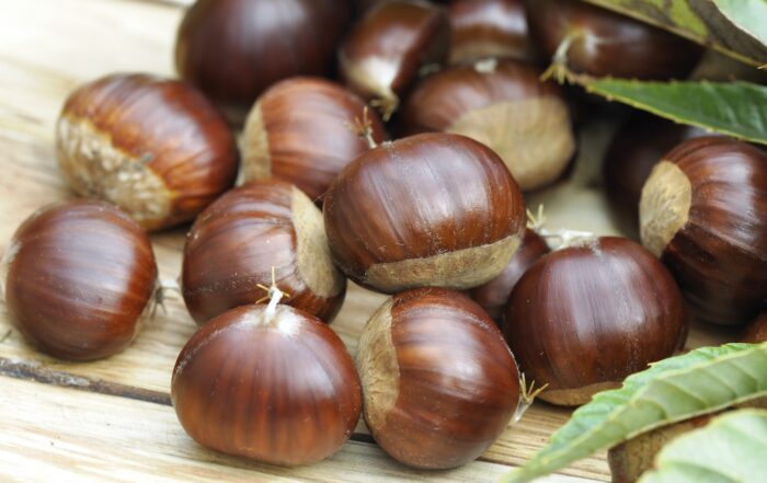 castagne-marroni