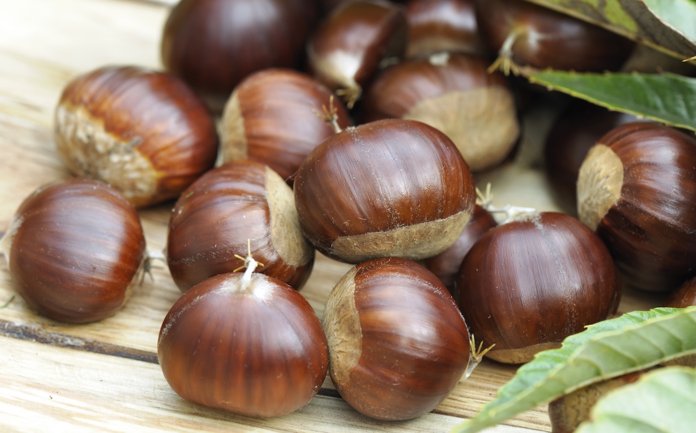 castagne-marroni