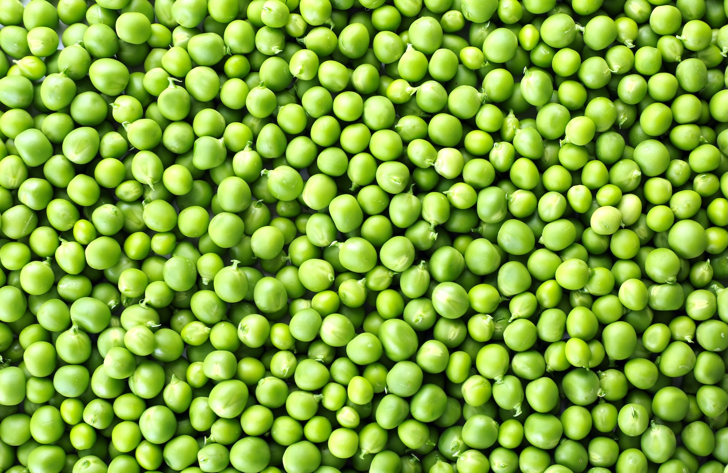 piselli-sapore-primavera