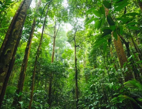 Il Parco della Biodiversità