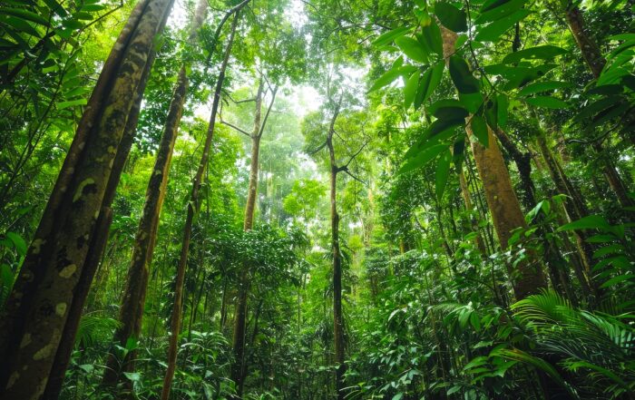 biodiversita