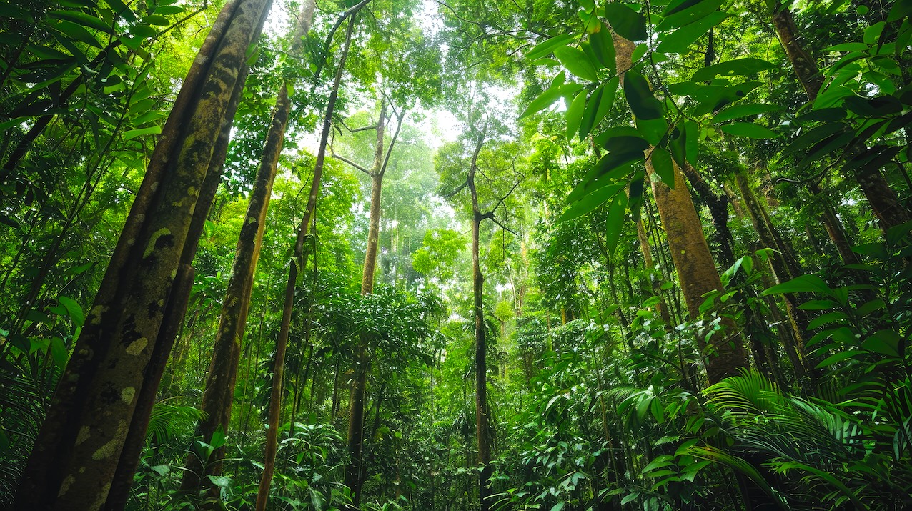 biodiversita