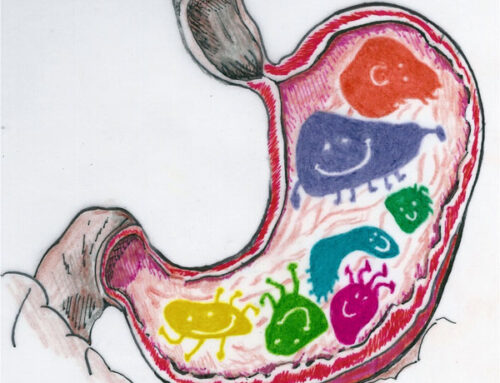 I probiotici contro stress e celiachia