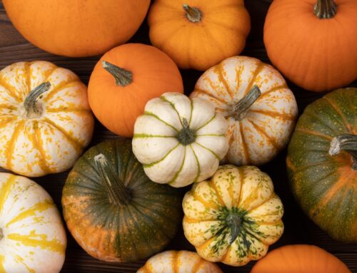 La zucca: magia di sapori