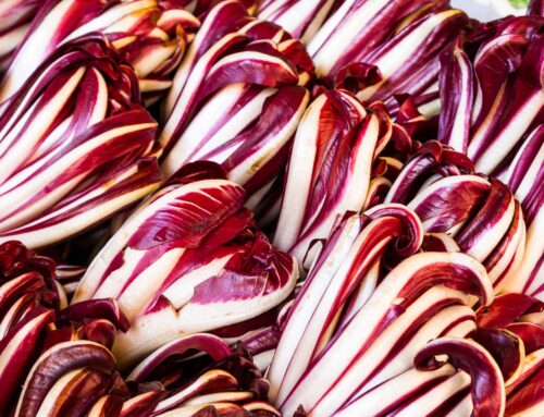 Il Radicchio Rosso di Treviso Igp