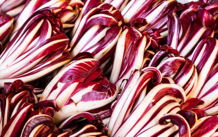 radicchio-rosso-treviso-igp