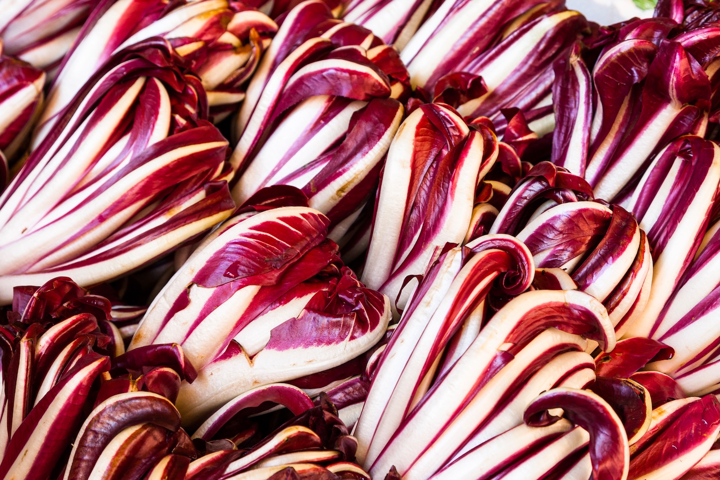 radicchio-rosso-treviso-igp