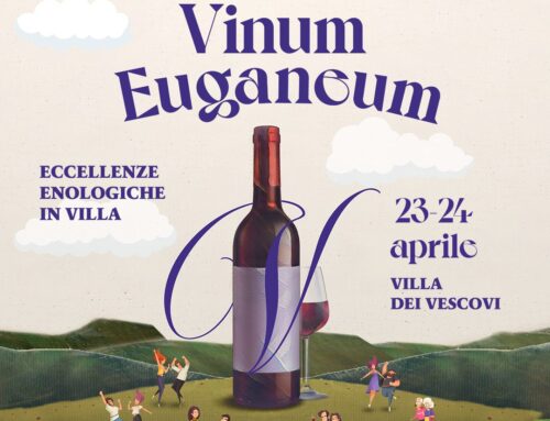 Vinum euganeum: eccellenze enologiche in villa