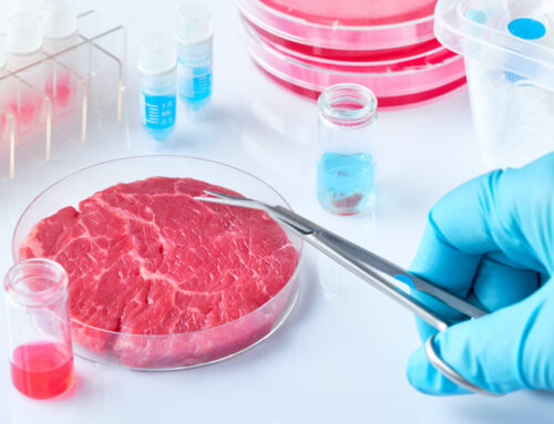 Carne sintetica: cena nell’Antropocene?