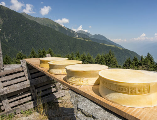 Valtellina terra di grandi formaggi