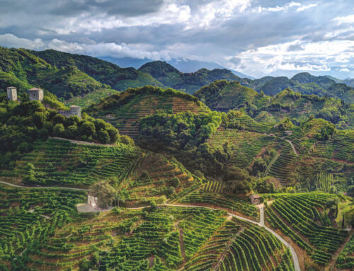 Fuga romantica fra le colline del Prosecco