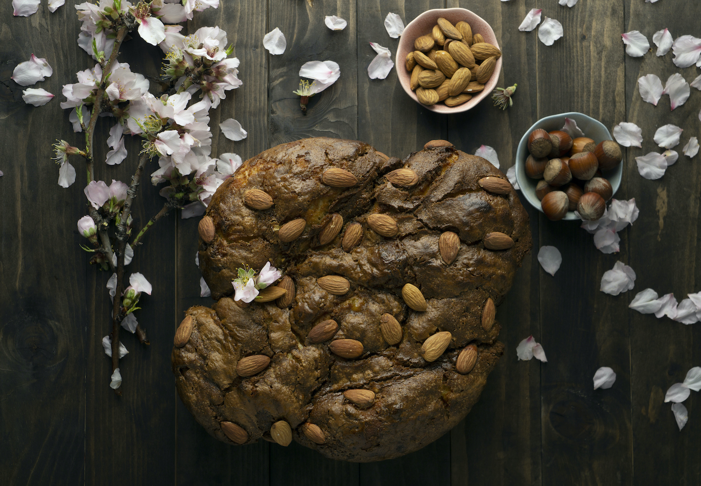 colomba-cioccolato