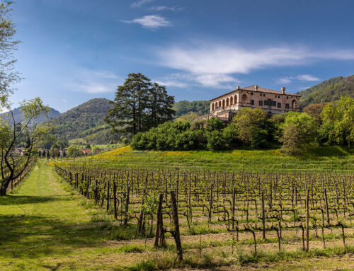 L’eccellenza dei vini euganei a Villa dei Vescovi