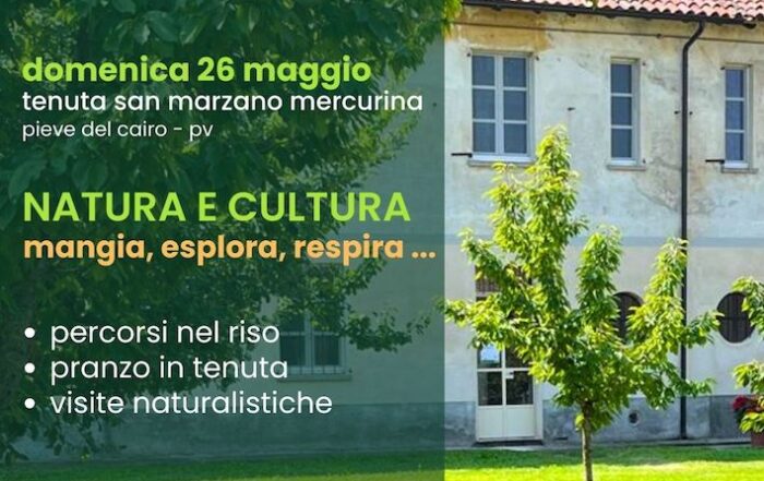 benvenuti-lomellina-sanmarzano-mercurina