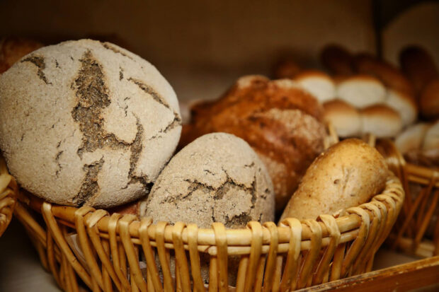 scuola-pane-salento