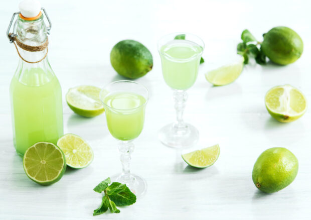 liquore-lime-menta