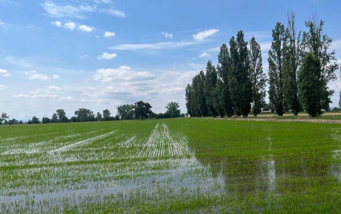 fondazione-darefrutto-san-marzano-mercurina