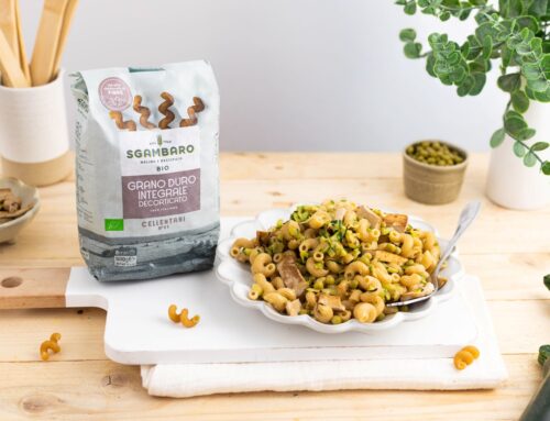 Cellentani integrali con zucchine e tofu allo zenzero
