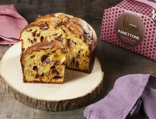 Lamponi e cioccolato: il nuovo panettone Filippi