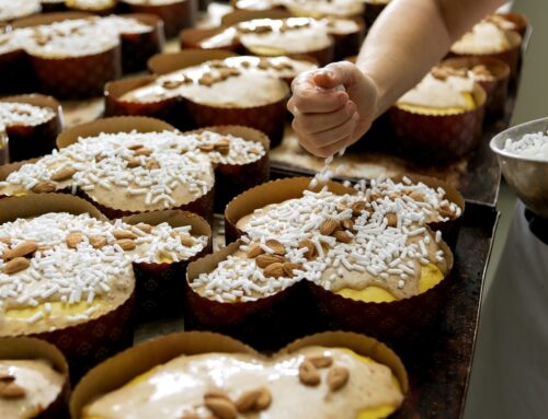 Come si sceglie la colomba?